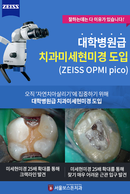 미세현미경